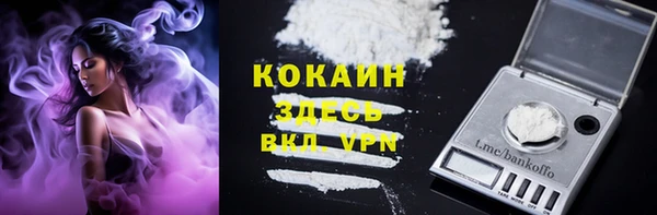 ешки Белокуриха