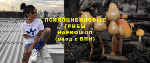 мдпв Беломорск