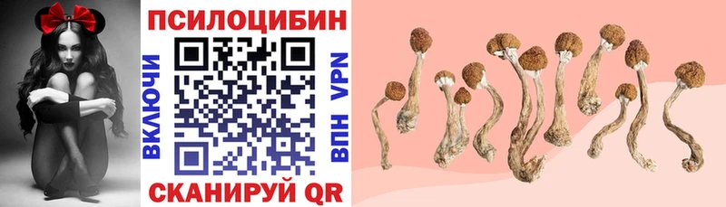 Галлюциногенные грибы GOLDEN TEACHER  Ростов-на-Дону 