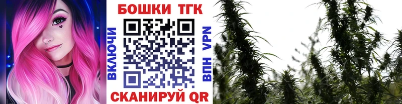 Бошки марихуана SATIVA & INDICA  сколько стоит  Ростов-на-Дону 